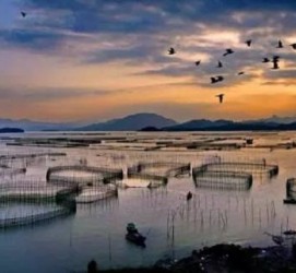 博罗伴游中国网景点丰富(旅游网介绍)