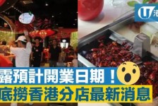 博罗香港酒店雇用高薪伴游(高端伴游雇用)