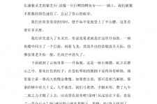 博罗旅游感想(张家界旅游感想)
