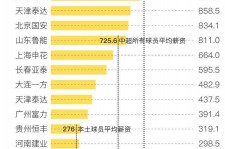 博罗关于伴游小丽中国足球的信息