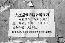 博罗珠海伴游雇用网(珠海游览社雇用信息)