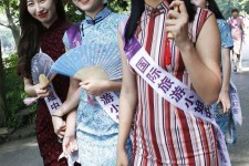 博罗旅游蜜斯(旅游蜜斯是什么意思)
