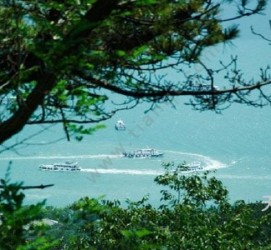 博罗中国伴游网与你分享旅游的点滴(中国伴游网与你分享旅游的点滴是什么)