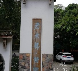 博罗关于伴游中国伴游你们伴得是什么游的信息