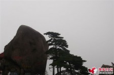 博罗上海伴游私家陪游雇用女模(上海伴游私家陪游雇用女模特)