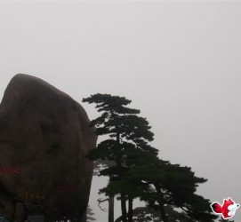 博罗上海伴游私家陪游雇用女模(上海伴游私家陪游雇用女模特)