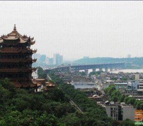 博罗武汉游玩攻略(武汉游玩攻略ppt)