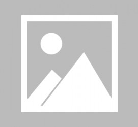 博罗常熟伴游雇用(常熟旅游公司雇用信息)
