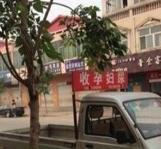 博罗上海伴游 用伴游造句大全(5