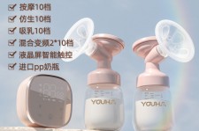 博罗奶模(奶模型)