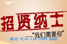 博罗酒店雇用伴游(酒店雇用伴游办事员)