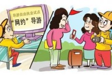 博罗伴游是什么