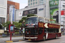 博罗上海私人伴游 上海过年怎么玩？这些“微游”线路了解下→