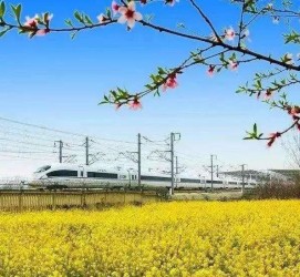 博罗高铁游(高铁游戏下载手机版)