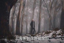 博罗上海私人伴游 上海伴游，上海兼职伴游安全吗
