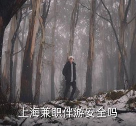 博罗上海私人伴游 上海伴游，上海兼职伴游安全吗
