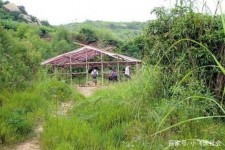 博罗北海伴游兼职雇用信息(北海伴游兼职雇用信息大全)