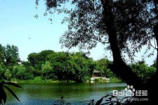 博罗西湖旅游攻略(上海到杭州西湖旅游攻略)