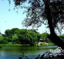 博罗西湖旅游攻略(上海到杭州西湖旅游攻略)
