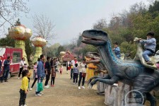 博罗中国伴游带你打卡网红南山竹海(南山竹海网上预约)