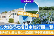博罗旅游价格(旅游价格机制)