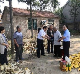 博罗关于宋叔带老伴游中国的信息