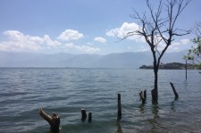 博罗洱海旅游攻略(洱海旅游攻略自由行)