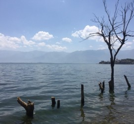 博罗洱海旅游攻略(洱海旅游攻略自由行)