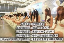 博罗雇用旅游男伴游(北京商务酒店雇用伴游)