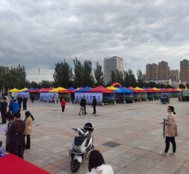 博罗通辽伴游雇用(哈尔滨伴游雇用)