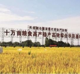 博罗关于成都商务伴游外围雇用的信息