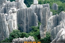 博罗贵阳市游览社英语伴游雇用(贵阳市前十名游览社是哪几家)