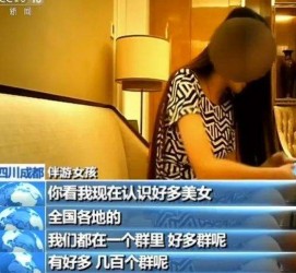 博罗商务女伴游雇用信息(全国雇用高端商务伴游)
