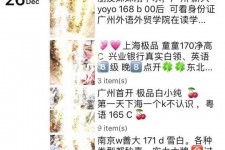 博罗外围伴游雇用圈套(雇用伴游什么样子的是实的)