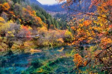 博罗四川旅游攻略(四川旅游攻略十五日游)