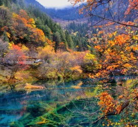 博罗四川旅游攻略(四川旅游攻略十五日游)