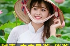 博罗日本关东伴游中国(日本关西旅行)