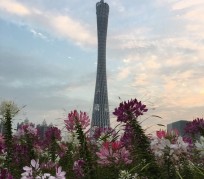 博罗广州旅游攻略(杭州到广州旅游攻略)