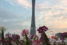 博罗广州旅游攻略(杭州到广州旅游攻略)