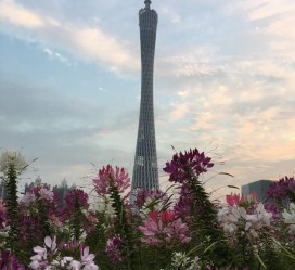 博罗广州旅游攻略(杭州到广州旅游攻略)