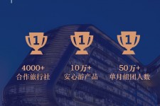博罗上海私人伴游 ​ “小而美”的新时代：2020年国内新跟团消费报告