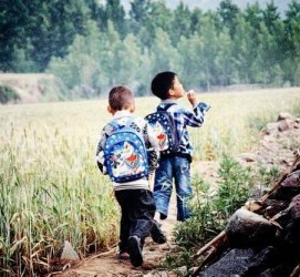 博罗河南一家四口结伴游中国2个月(河南适合一家四口旅游的地方)