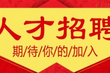 博罗上海伴游招聘 招聘 | 浦东机场专柜销售