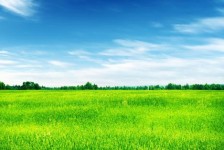博罗上海伴游 上海模特伴游微信号的交友宣言