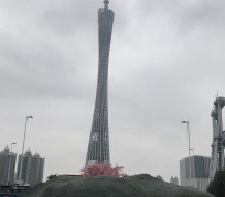 博罗广州游玩攻略(广州游玩攻略景点大全免费)