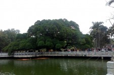 博罗福州旅游攻略(福州旅游攻略二日游)