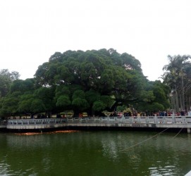 博罗福州旅游攻略(福州旅游攻略二日游)