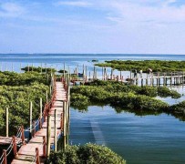 博罗旅游哪里好玩(云南旅游哪里好玩)