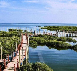 博罗旅游哪里好玩(云南旅游哪里好玩)