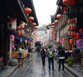 博罗成都自助游(成都自助游住哪里方便)